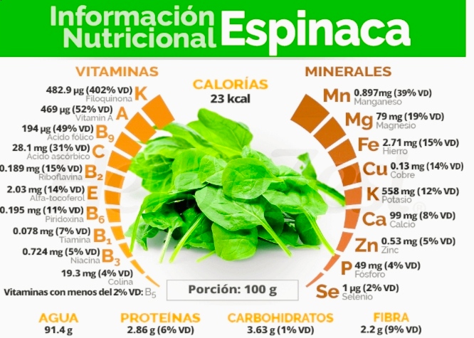 Valores nutricionales de la espinaca