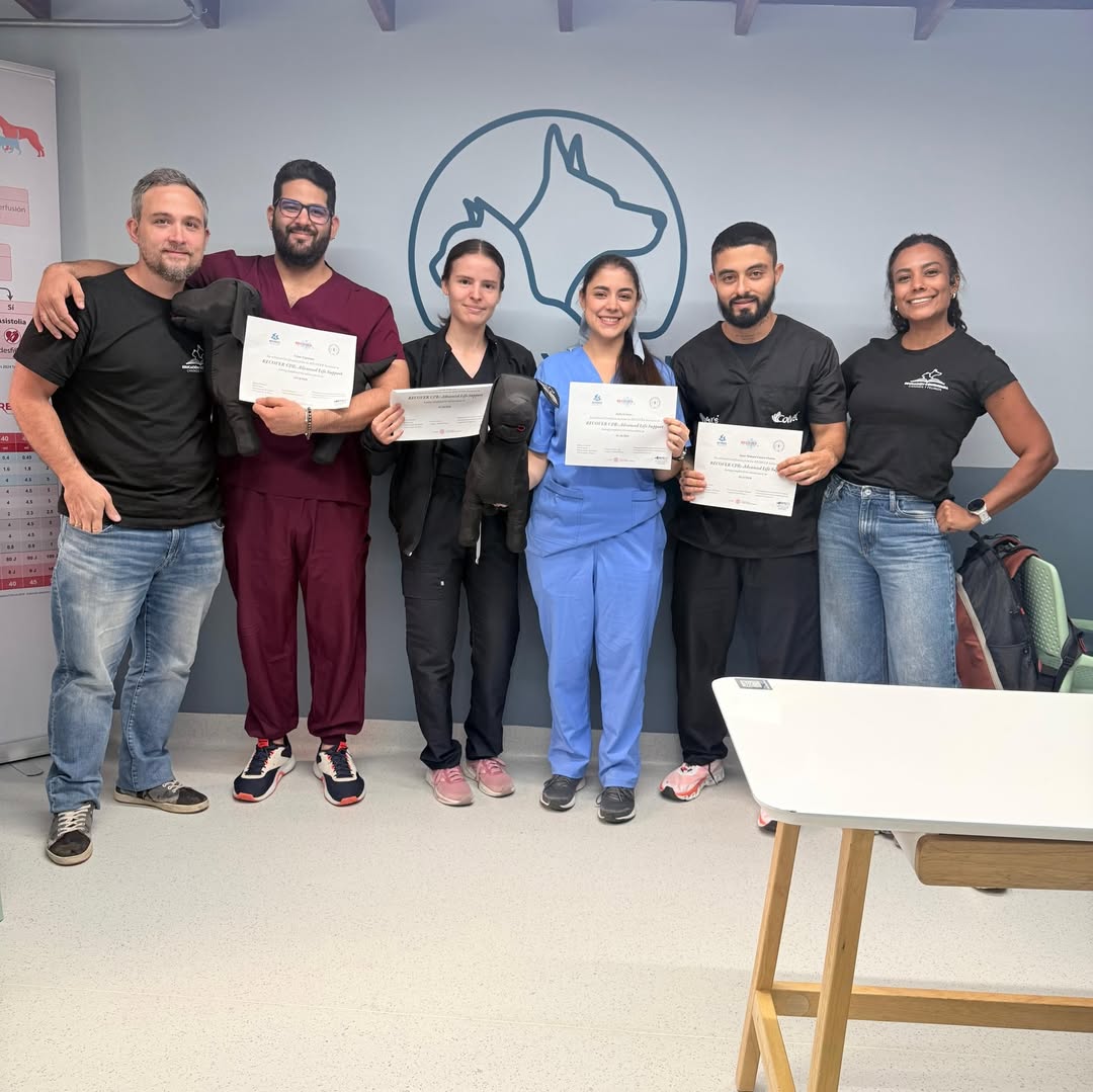 Certificación como Resucitador Veterinario bajo la estrategia RECOVER, el protocolo que define cómo actuar cuando la vida de un paciente pende de segundos.