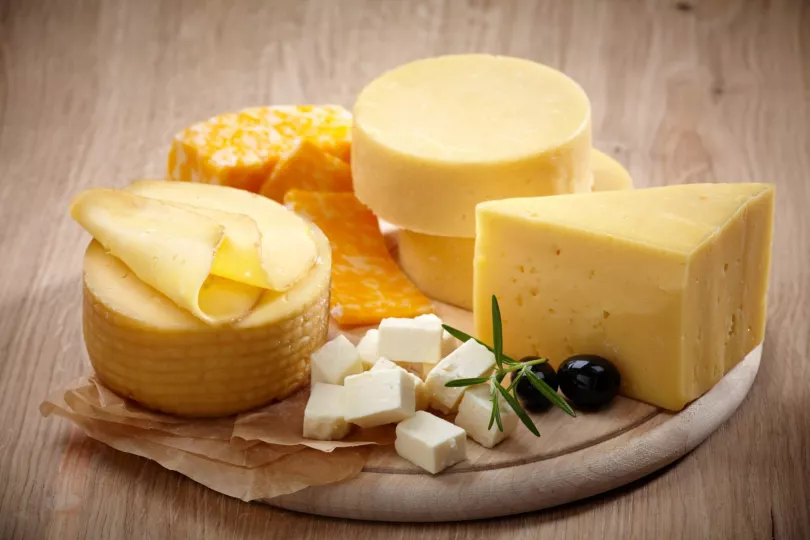 os asistentes tendrán la oportunidad de degustar una amplia variedad de quesos mexicanos y conocer más sobre las técnicas de producción y las características únicas de cada tipo de queso.