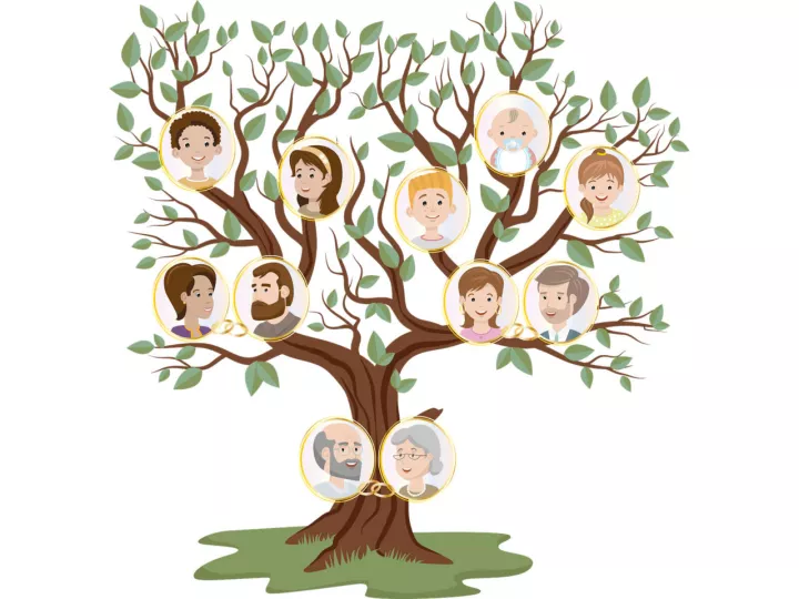 En esta página los servicios más básicos son gratuitos e incluso, puedes crear tu propio árbol genealógico. 