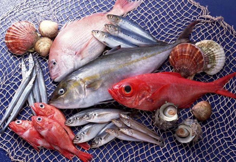Variedades de pescados 