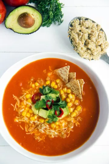 Sopa mexicana 