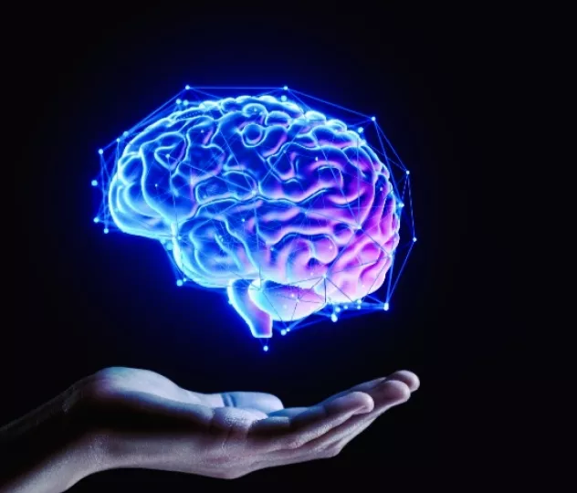 El cerebro necesita cuidados, la alimentación es uno de los modos de potenciarlo y protegerlo