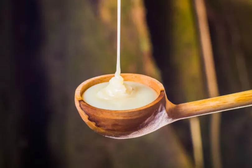 Leche condensada 