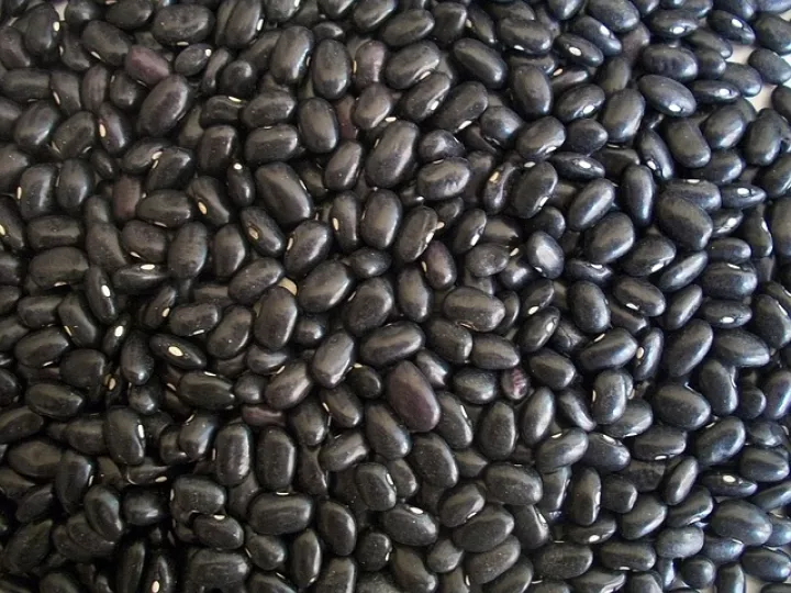 frijoles negros Beep Beep
