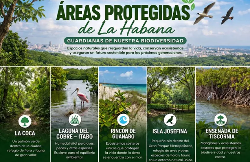 Vista de un paisaje natural que representa el ecosistema de una de las áreas protegidas en Cuba.