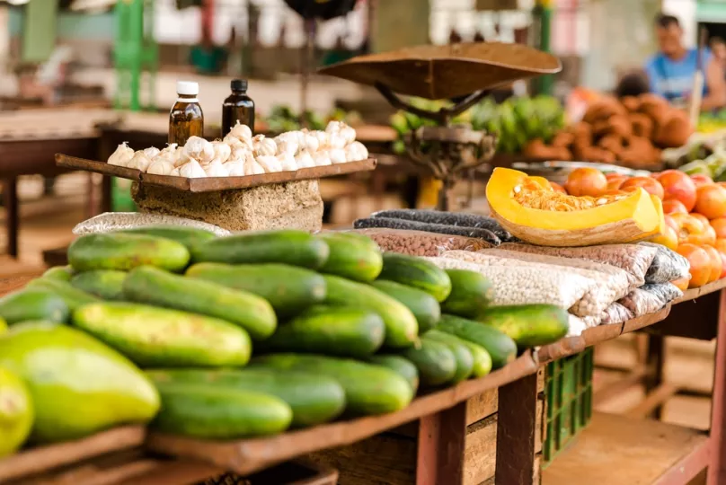 Campo de cultivo representando el sector agrícola y la comercialización de alimentos.