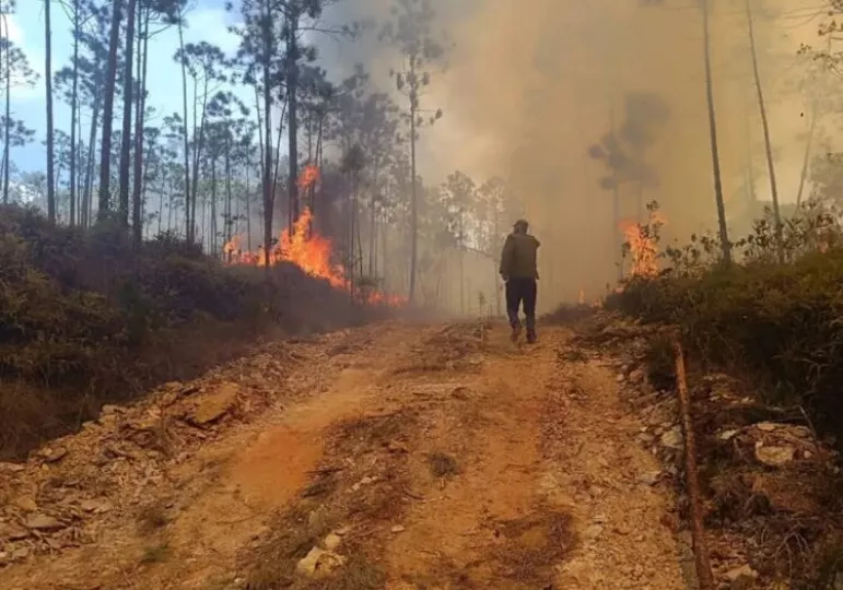 Imagen aérea de un gran incendio forestal cubriendo una zona montañosa en Pinar del Río.