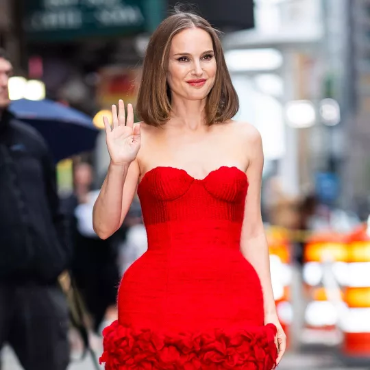 Natalie Portman y Tanguy Destable celebran la próxima llegada de su primer hijo juntos.