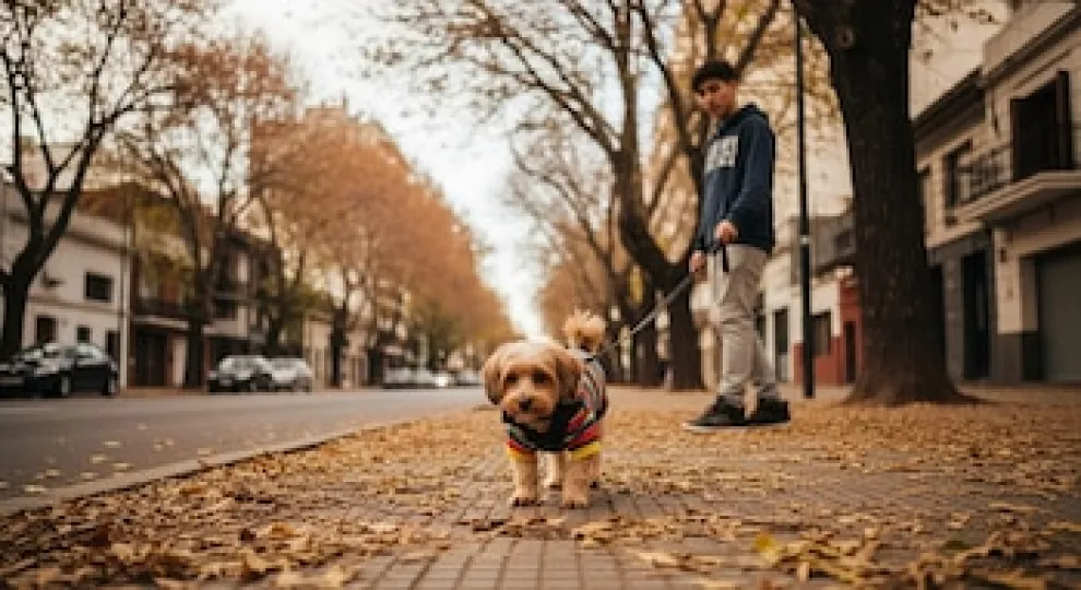 Un perro pequeño con un abrigo de invierno