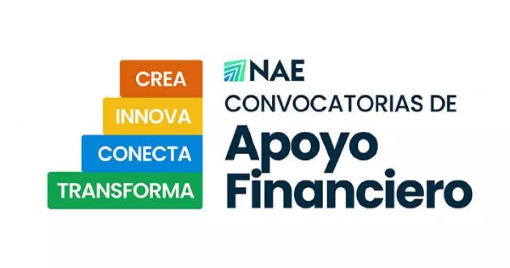 Logo o identificación del Instituto Nacional de Activos Empresariales (INAE) en un documento oficial.