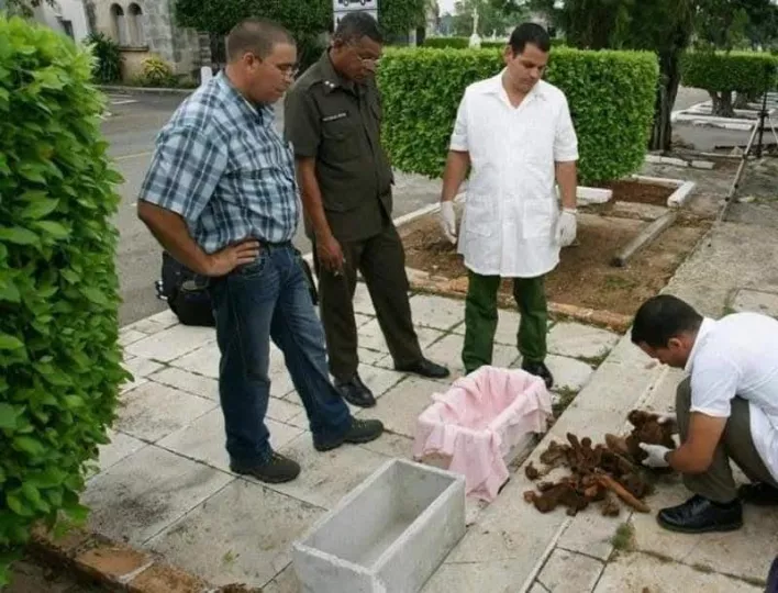 Fotografía de los restos óseos de José Francisco Martí Zayas Bazán durante un procedimiento de exhumación en el Cementerio de Colón.