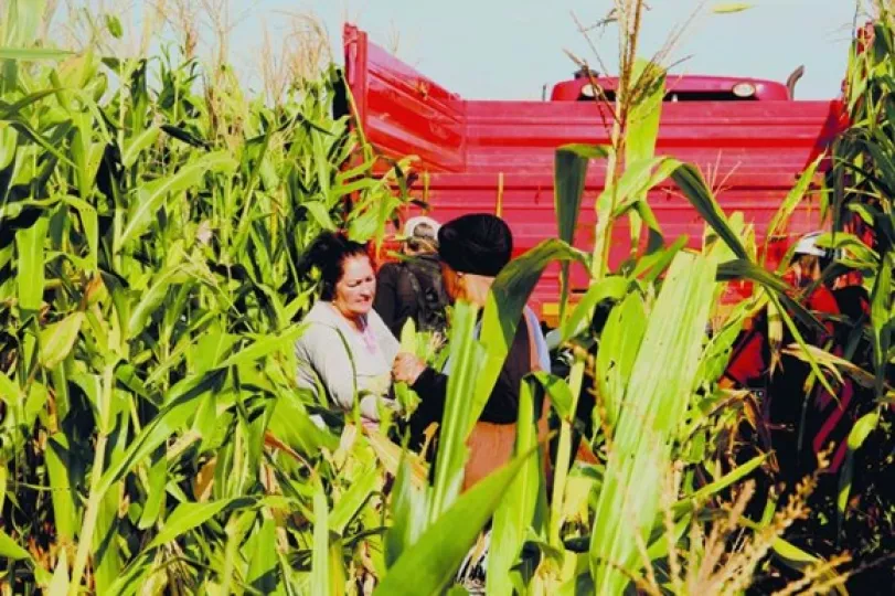 Productores y funcionarios durante el diálogo sobre la implementación de nuevas medidas para la entrega de tierras en usufructo.