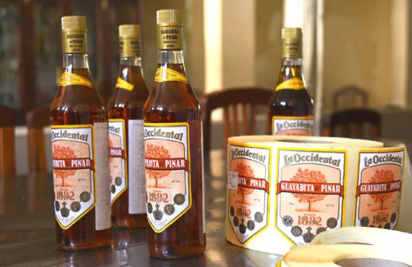 Botellas de licor Guayabita del Pinar exhibidas en una mesa, resaltando el producto tradicional cubano.