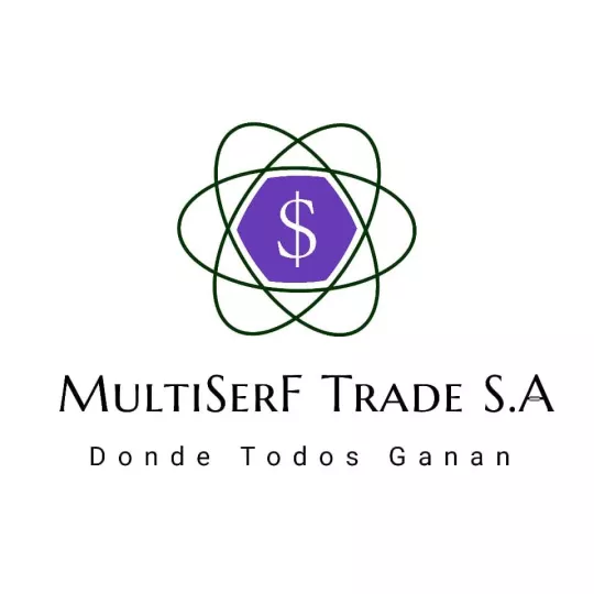 Logotipo e imagen corporativa de la empresa MultiSerF S.R.L.