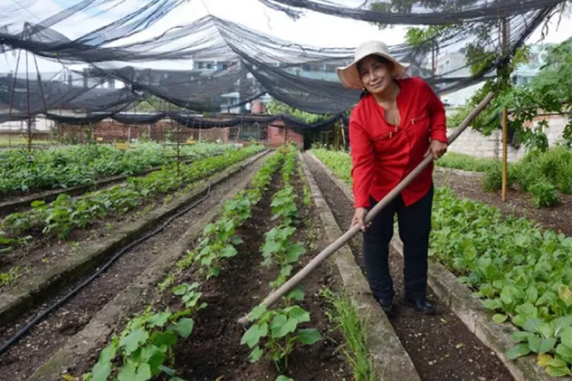 La agricultora cubana Magalys Pedrero Basulto, quien recibió un reconocimiento de la FAO por su labor en sistemas agroalimentarios.
