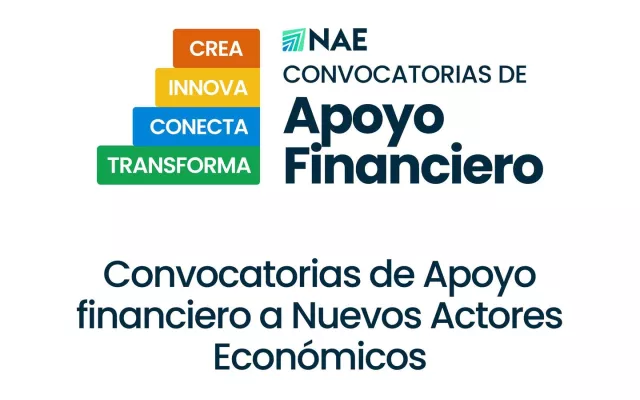 Convocatorias del PNUD para actores económicos en Cuba: Todo lo que debes saber
