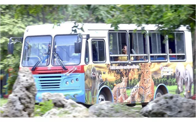 Zoológico Nacional de Cuba suspende temporalmente sus servicios por mantenimiento