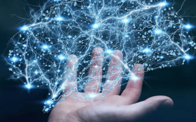 Unesco neurociencia