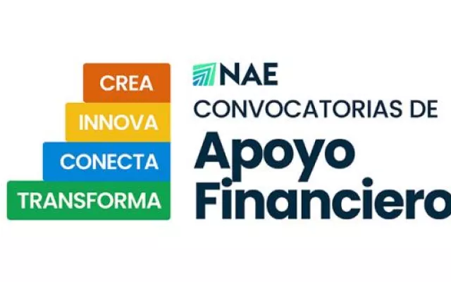 Logo o identificación del Instituto Nacional de Activos Empresariales (INAE) en un documento oficial.