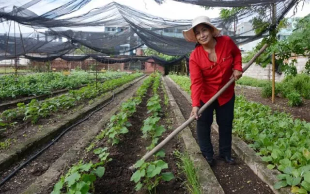 La agricultora cubana Magalys Pedrero Basulto, quien recibió un reconocimiento de la FAO por su labor en sistemas agroalimentarios.